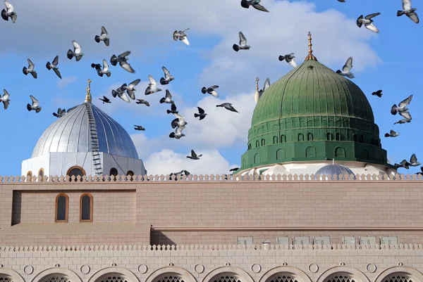 14 GECE GÜN EKONOMİK UMRE (KABE'YE YAKIN OTEL)